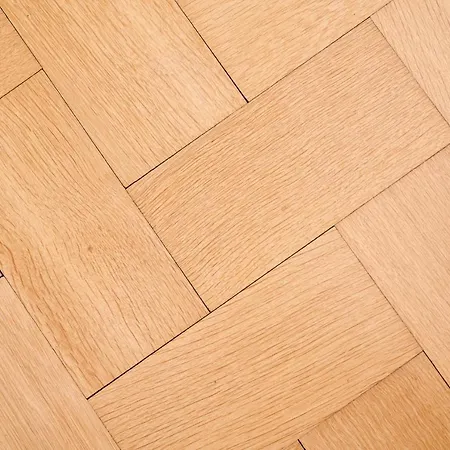 Brodthage, App. 4 Walkenried