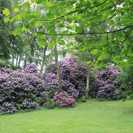 Apartamento Brodthage, App. 4