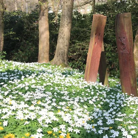 Brodthage, App. 4 Apartment