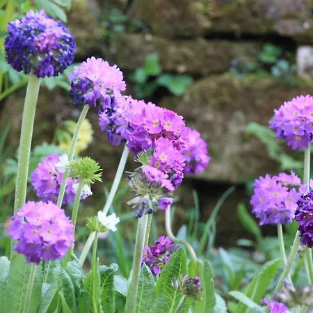 Apartamento Brodthage, App. 4