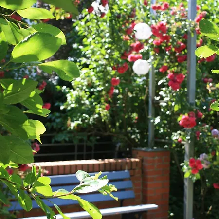 Brodthage, App. 4 Apartment