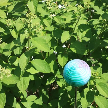 Brodthage, App. 4 Walkenried