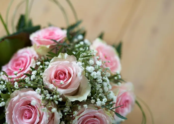 Brodthage, App. 4 Διαμέρισμα Walkenried