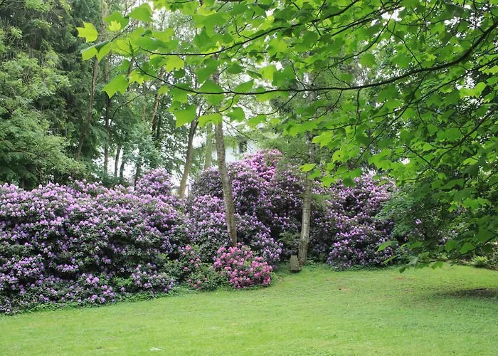 Διαμέρισμα Brodthage, App. 4