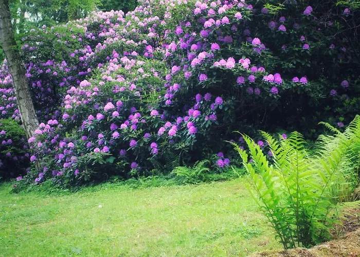 Brodthage, App. 4 Walkenried