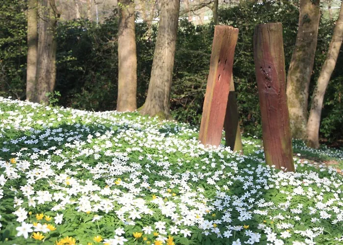 Brodthage, App. 4 Διαμέρισμα