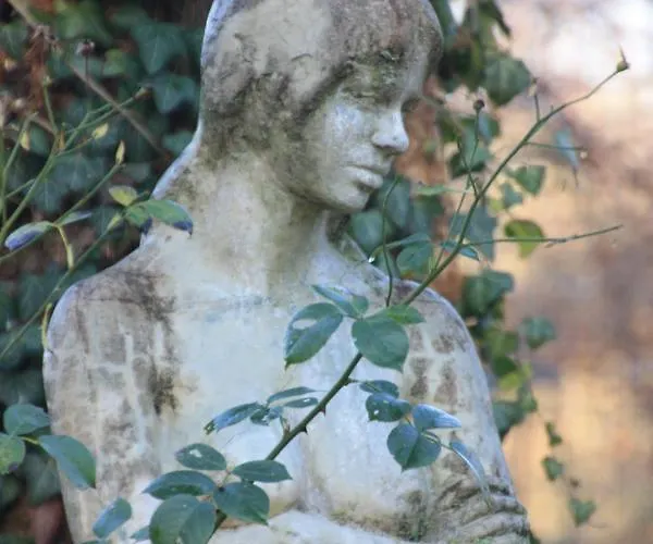 Brodthage, App. 4 Διαμέρισμα Walkenried