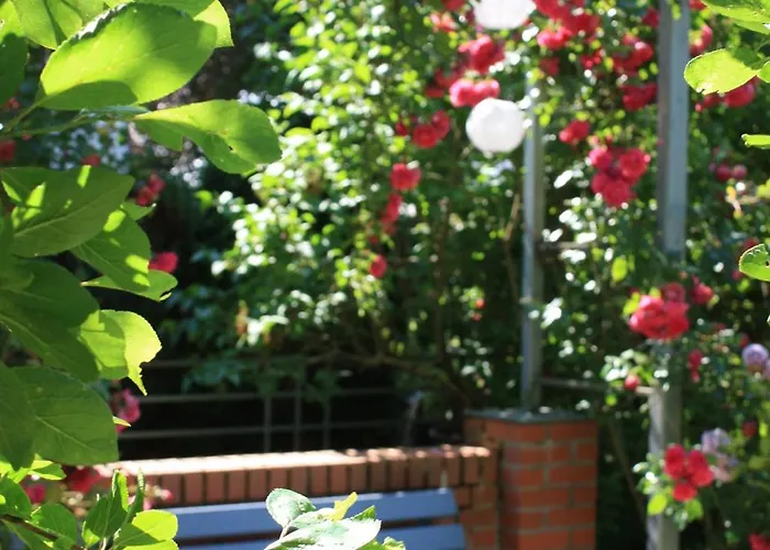 Brodthage, App. 4 Διαμέρισμα