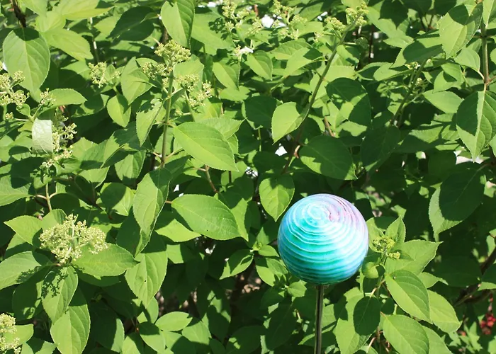 Brodthage, App. 4 Walkenried